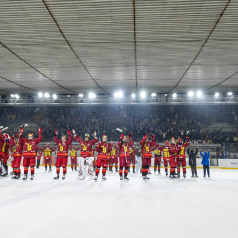 Hokejový tím HC Dukla Senica v červeno-žltých dresoch oslavuje víťazstvo na ľade pred početným publikom.