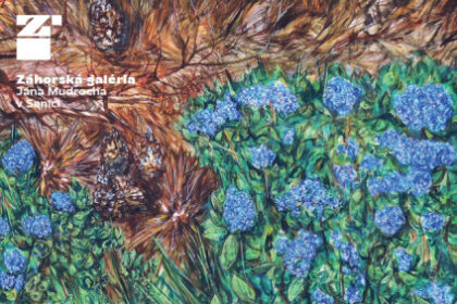 Plagát výstavy Jakuba Mičáka Na tejto strane neba v Záhorskej galérii Jána Mudrocha v Senici s dátumami a otváracími hodinami.