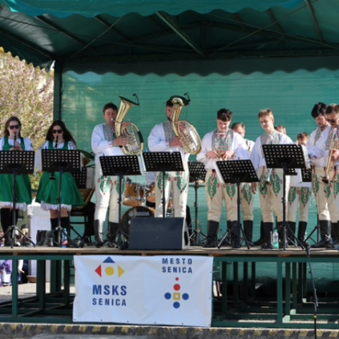 Skupina hudobníkov v tradičných krojoch hrá na nástrojoch počas slávnosti stavania mája na námestí v Senici.