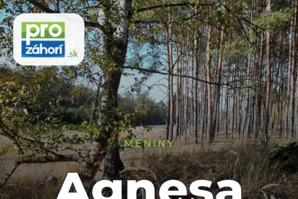 Meniny Agnesa