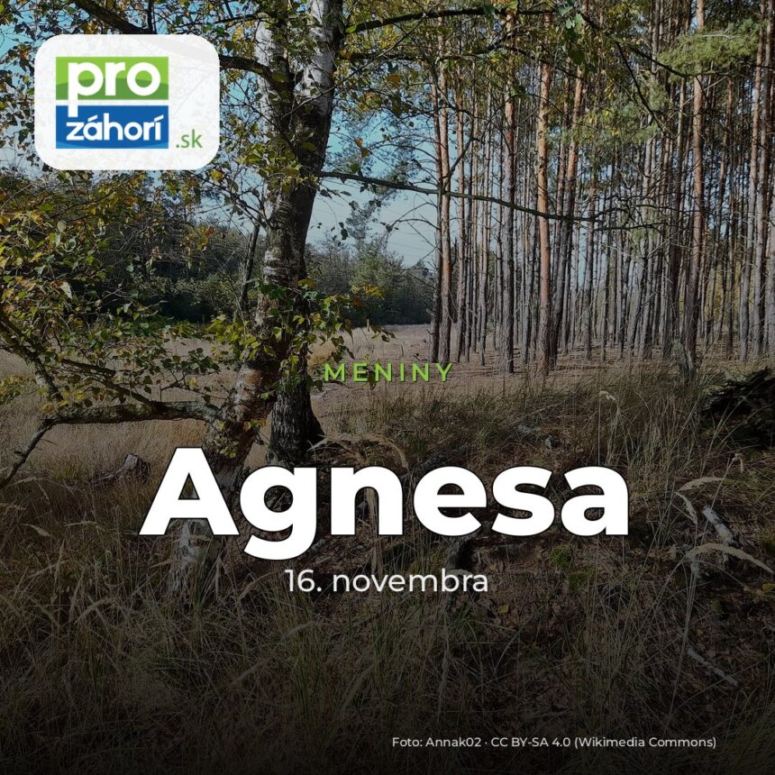 Meniny Agnesa