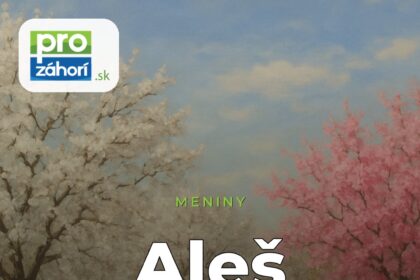 Meniny Aleš