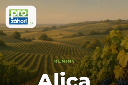 Meniny Alica
