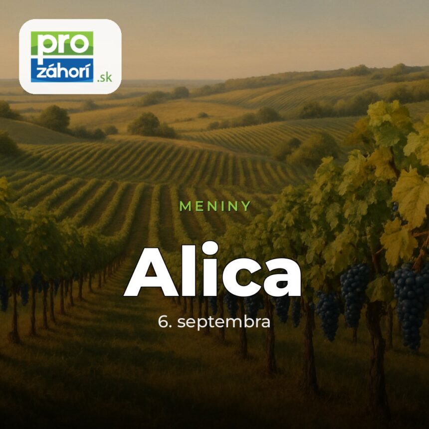 Meniny Alica