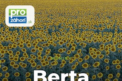 Meniny Berta