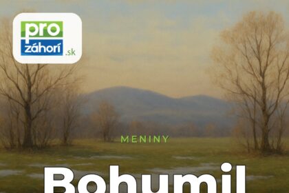 Meniny Bohumil