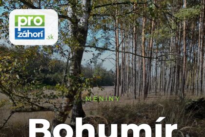 Meniny Bohumír