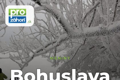 Meniny Bohuslava