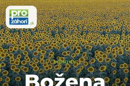 Meniny Božena