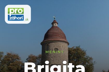 Meniny Brigita