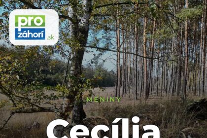 Meniny Cecília