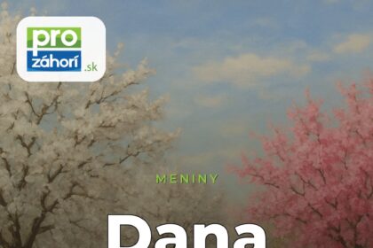 Meniny Dana