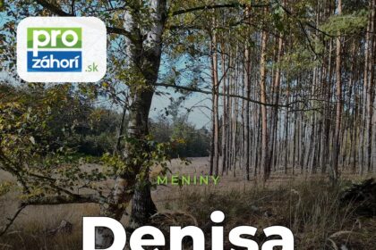 Meniny Denisa