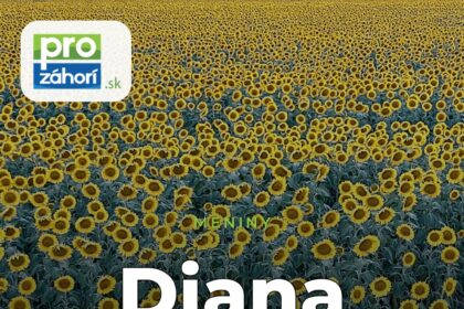 Meniny Diana