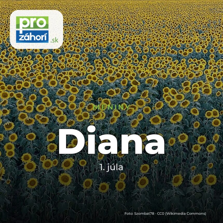 Meniny Diana