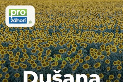 Meniny Dušana
