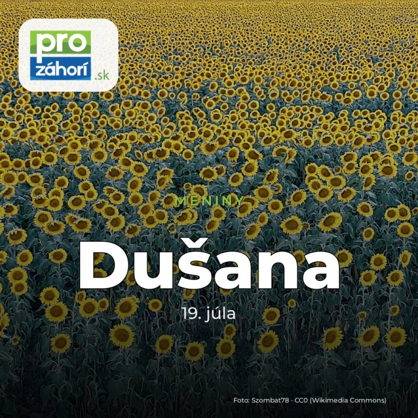 Meniny Dušana