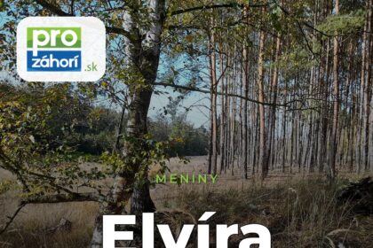 Meniny Elvíra