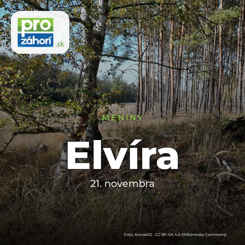 Meniny Elvíra
