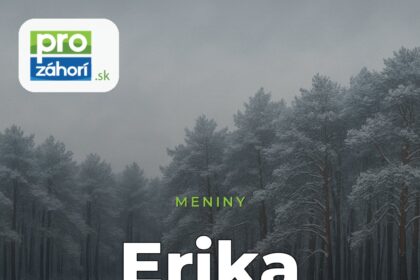 Meniny Erika
