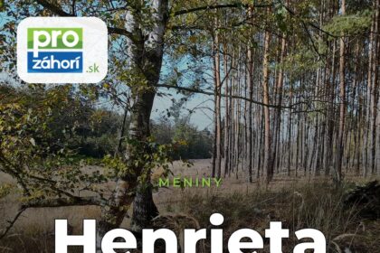 Meniny Henrieta