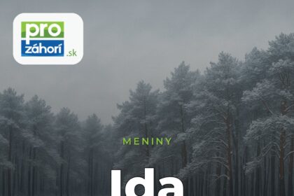 Meniny Ida
