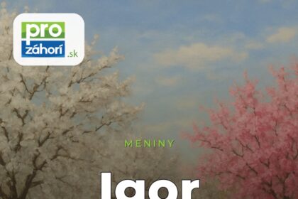 Meniny Igor