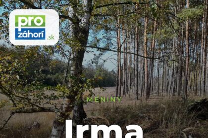 Meniny Irma