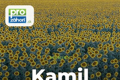 Meniny Kamil