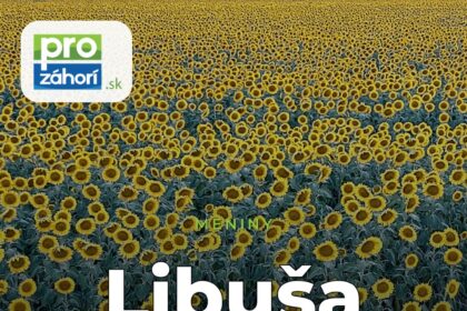 Meniny Libuša