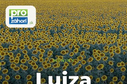Meniny Lujza