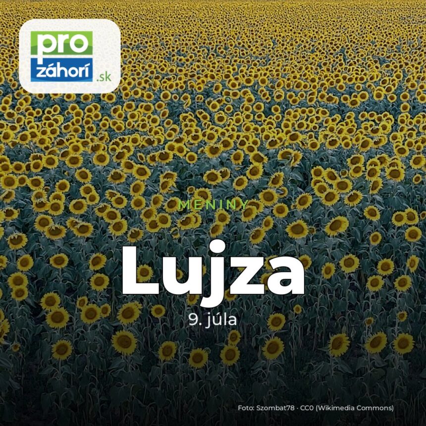 Meniny Lujza