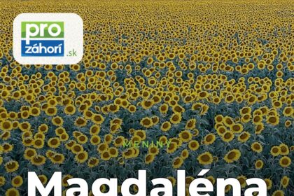 Meniny Magdaléna