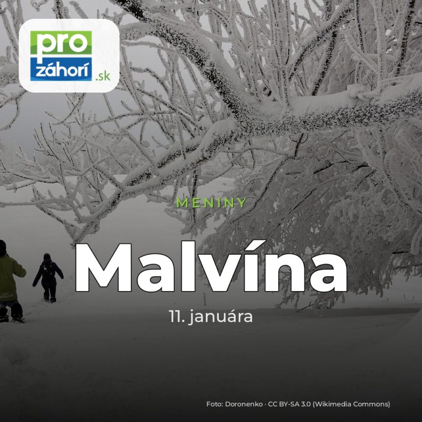 Meniny Malvína