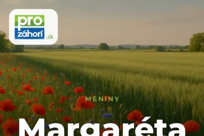 Meniny Margaréta