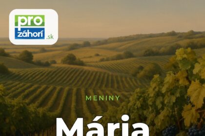 Meniny Mária
