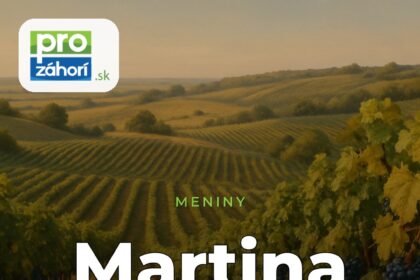Meniny Martina