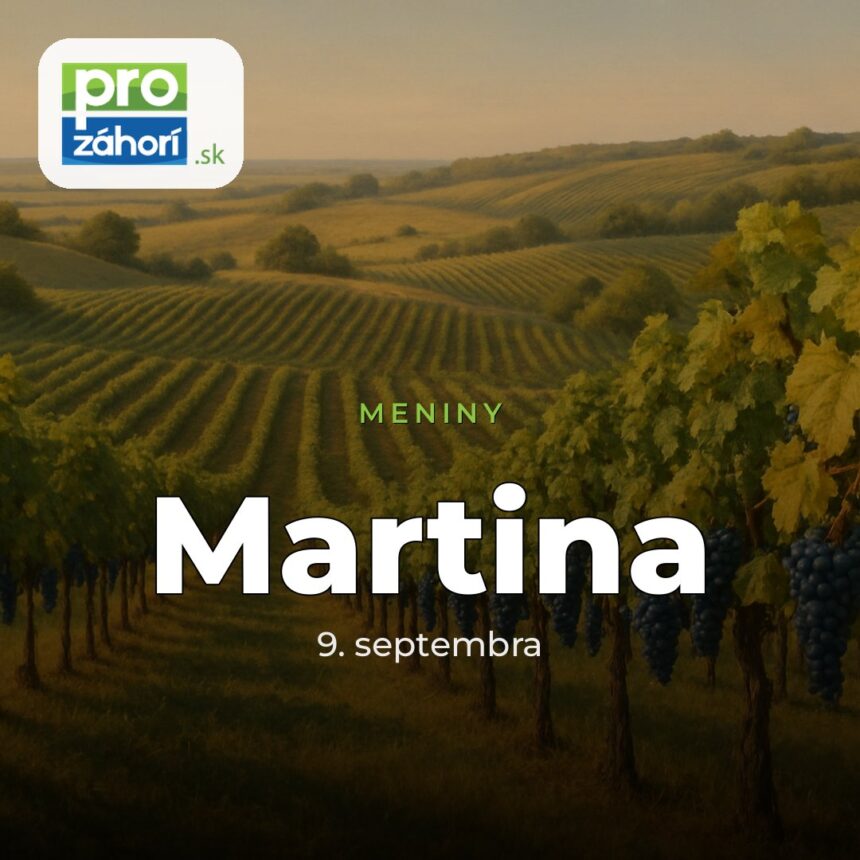 Meniny Martina