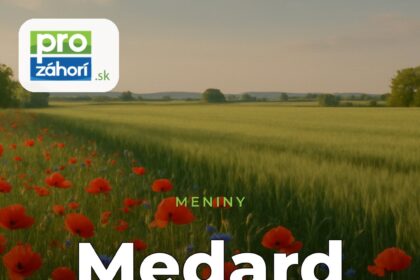 Meniny Medard