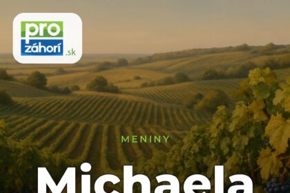 Meniny Michaela