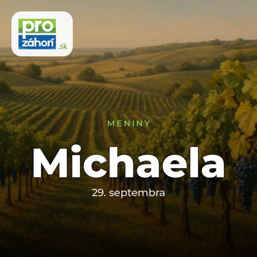 Meniny Michaela