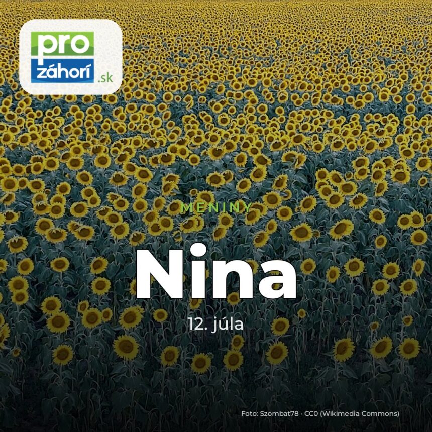 Meniny Nina