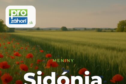 Meniny Sidónia