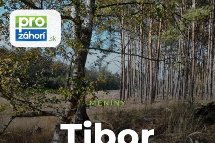 Meniny Tibor