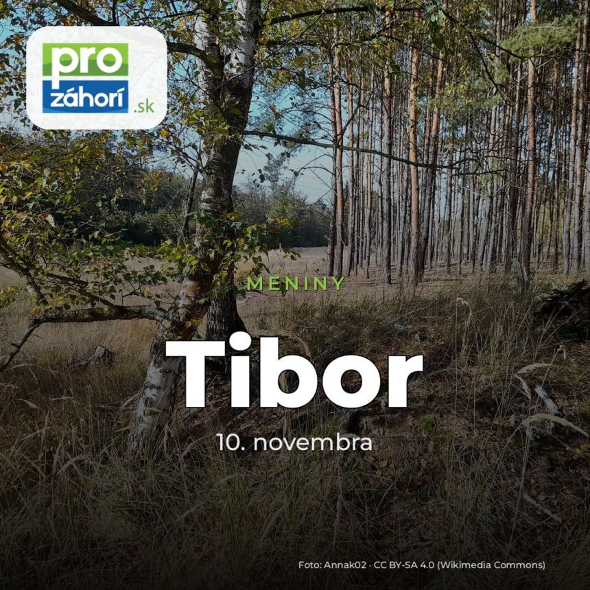 Meniny Tibor