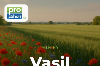 Meniny Vasil