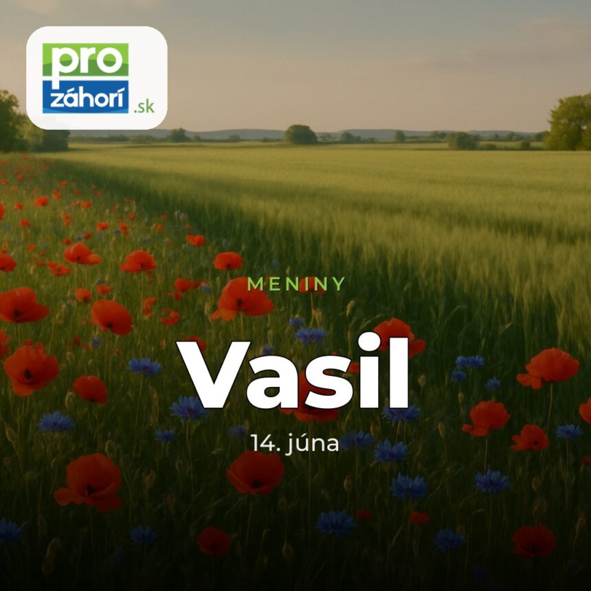 Meniny Vasil
