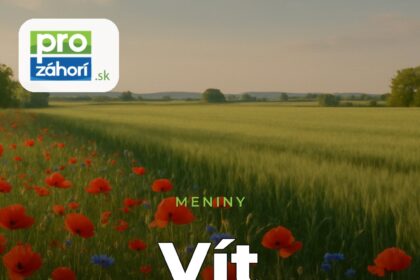 Meniny Vít
