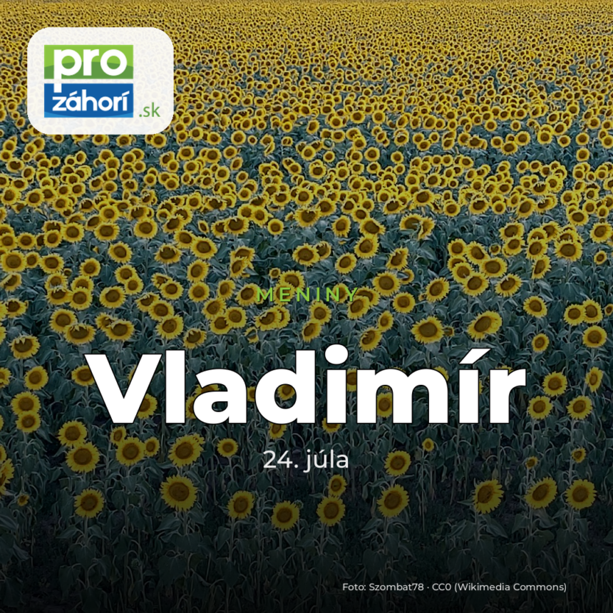 Meniny Vladimír
