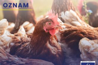 Dokument Regionálnej veterinárnej a potravinovej správy Senica o kontrole hydinárne v Gbeloch.